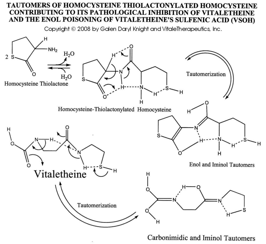 Homocysteine vs. Vitaletheine