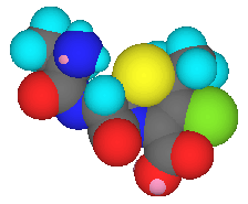 AMINOCEPHALOSPORINS